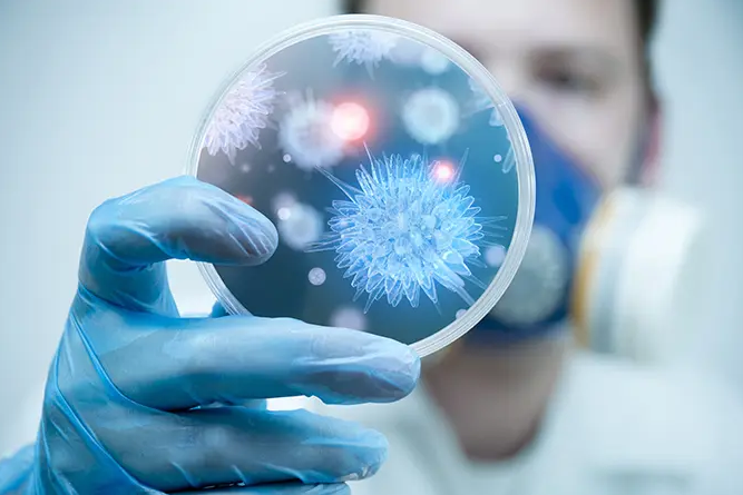 CDC сообщают о риске микст-инфекций — тридемии