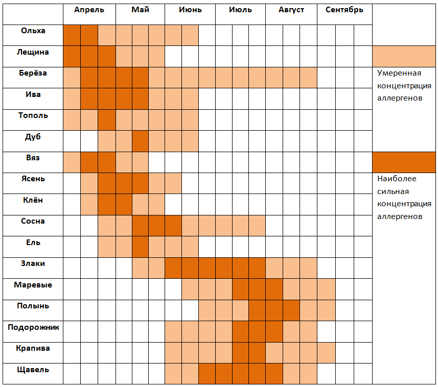 Карта пыления для аллергиков. Календарь аллергика. График цветения для аллергиков. Аллергены в конце августа. Период цветения березы в Москве.