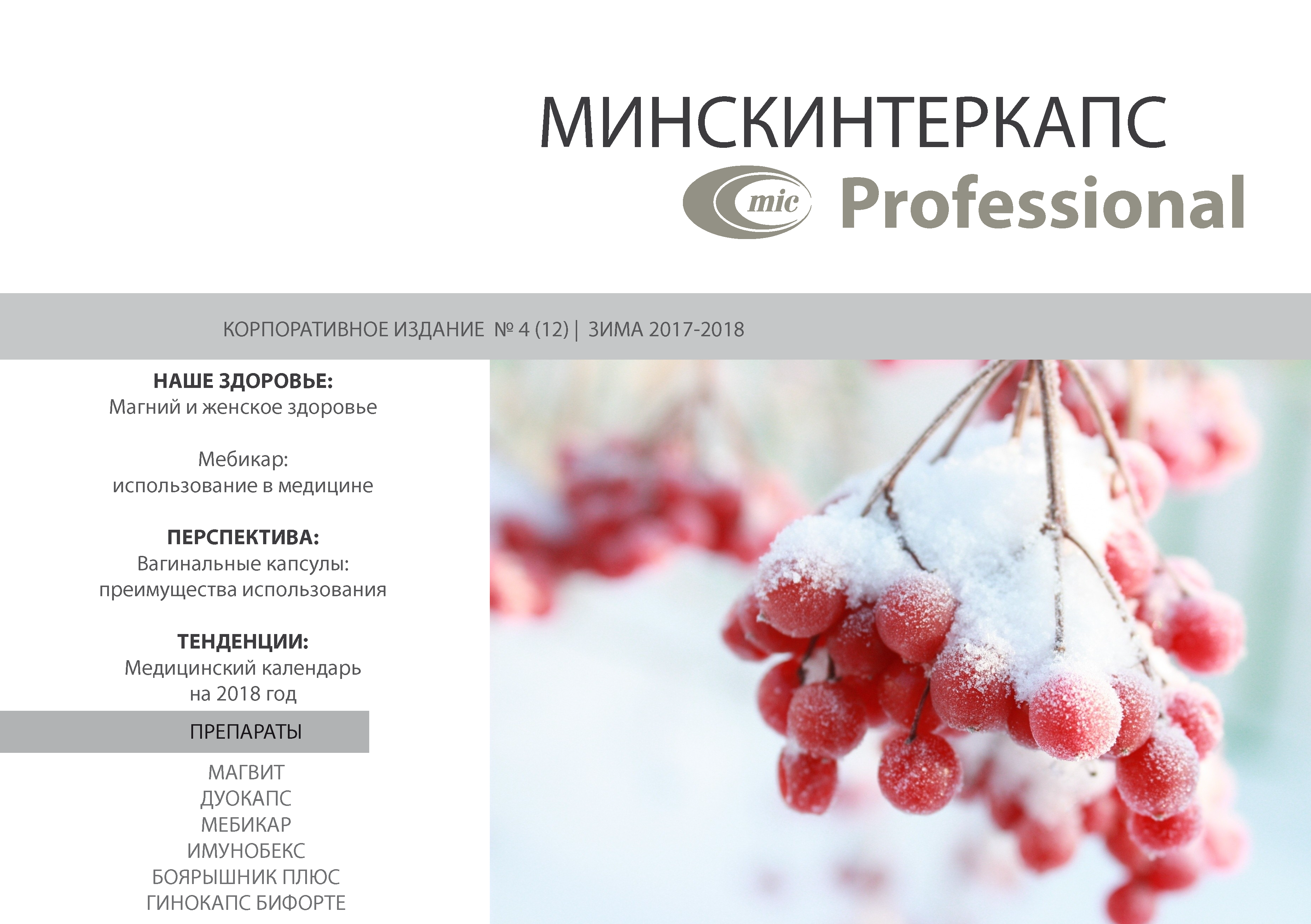 Зимний номер корпоративного издания Минскинтеркапс Professional 