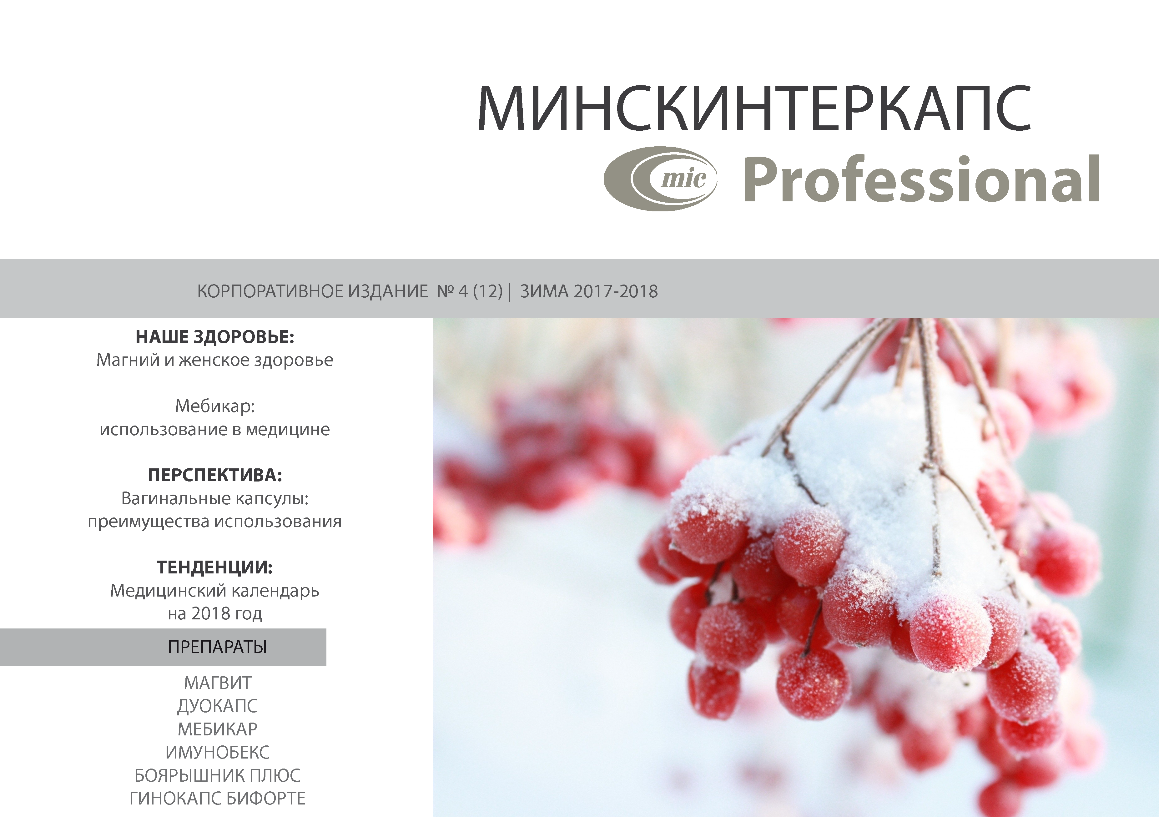 Зимний номер корпоративного издания Минскинтеркапс Professional